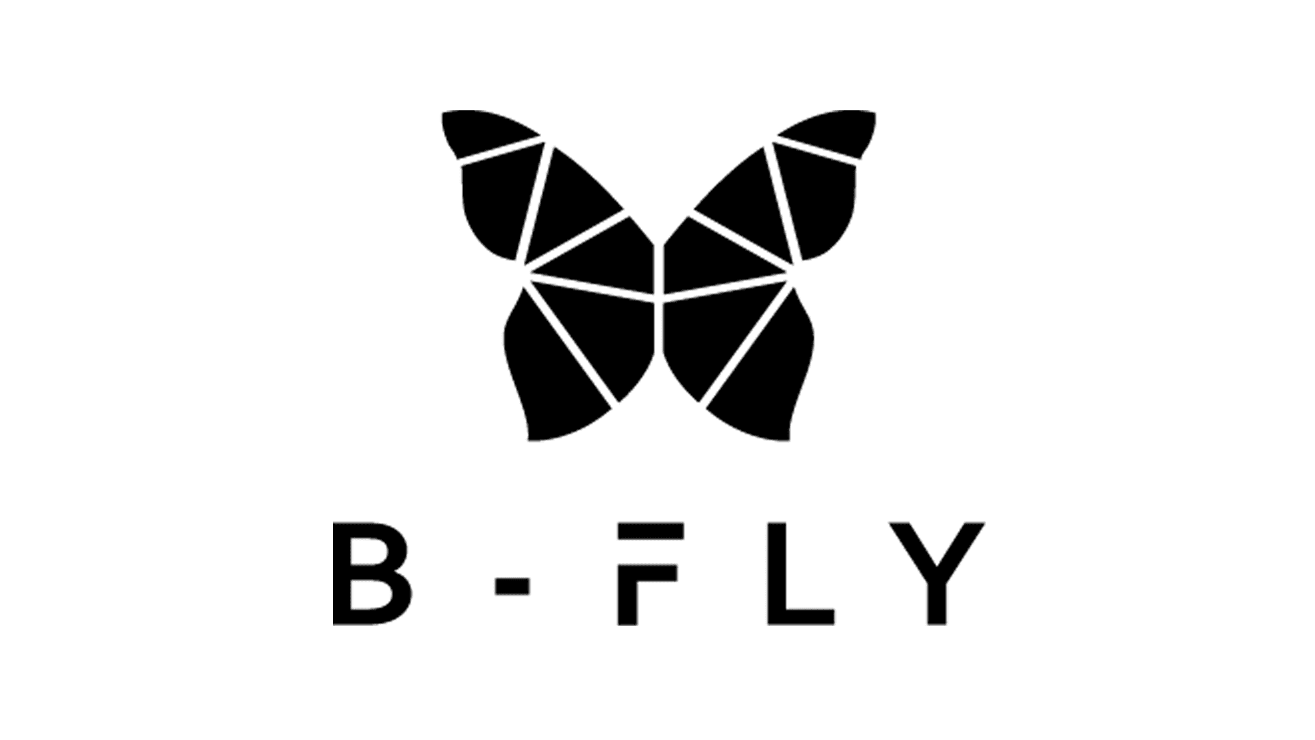 B-FLY Dropshipping