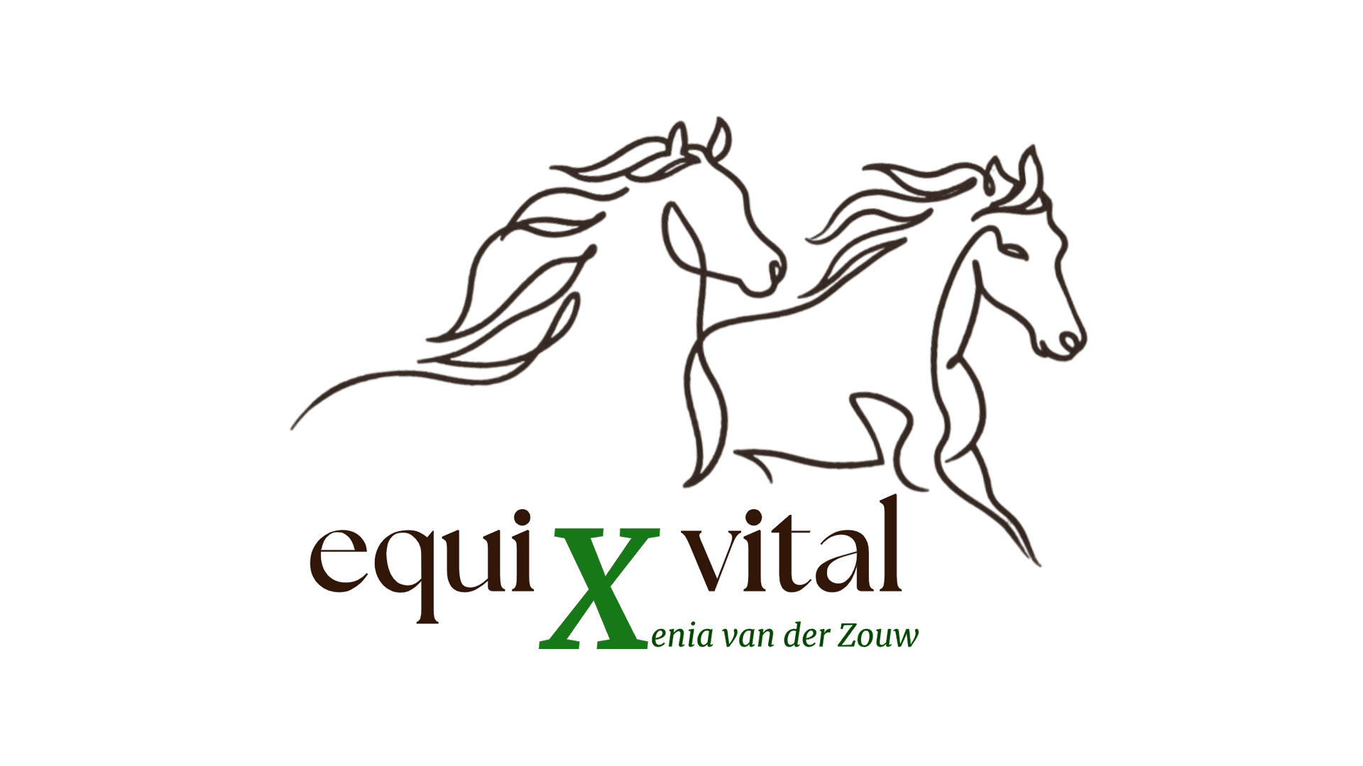 equiXvital, Pferdephysiotherapie